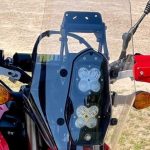 WINDSHIELD v.1